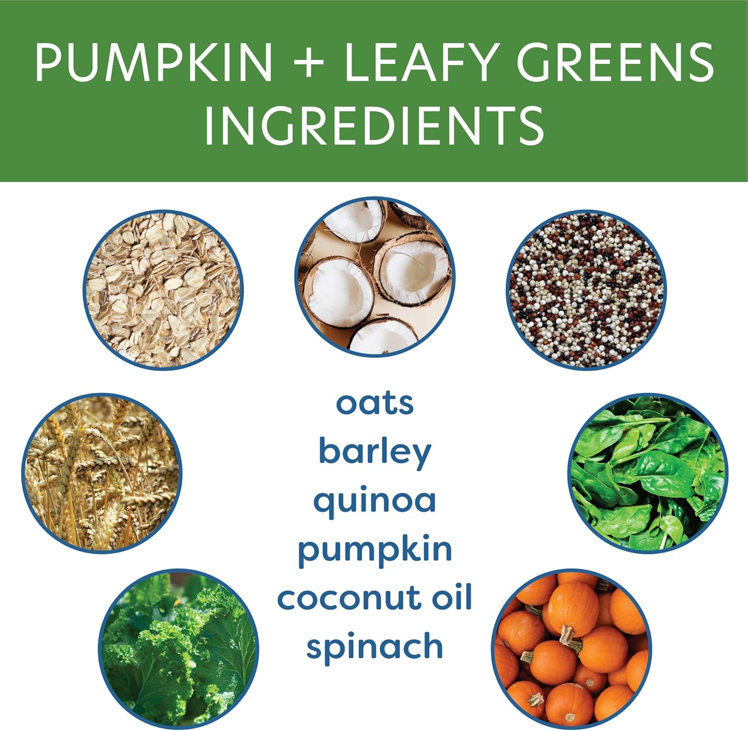 Body and Soul Pumpkin + Leafy Greens Crunchy Dog Treat - Superfood Biscuits Baked with Oats Barley & Quinoa - All-Natural Plant Based Clean Protein, No Additives or Fillers - Made in USA 2 Pack (20oz)