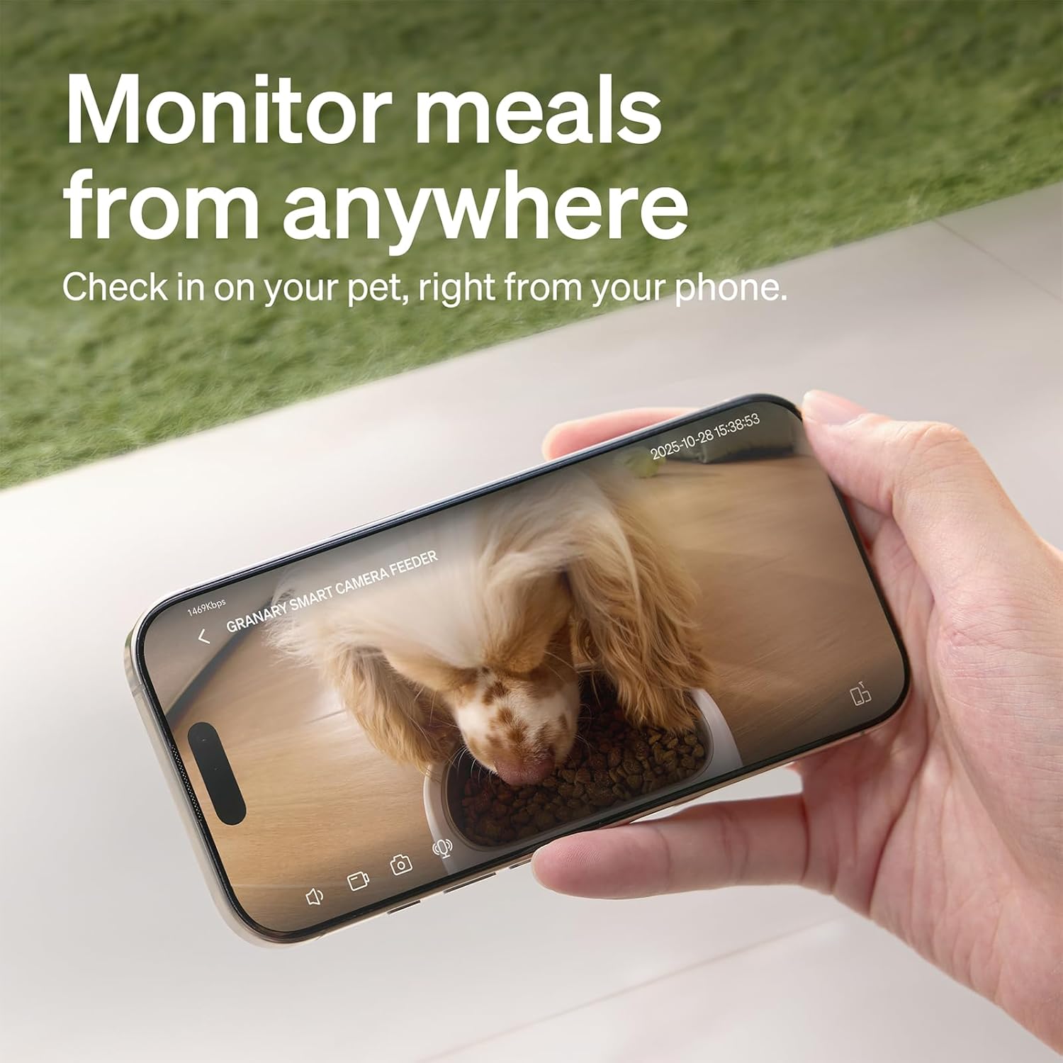 PETLIBRO Automatic Cat Feeder with Camera, 1080P HD Video with Night Vision, 5G WiFi Pet Feeder with 2-Way Audio, Low Food & Blockage Sensor, Motion & Sound Alerts for Cat & Dog Single Tray